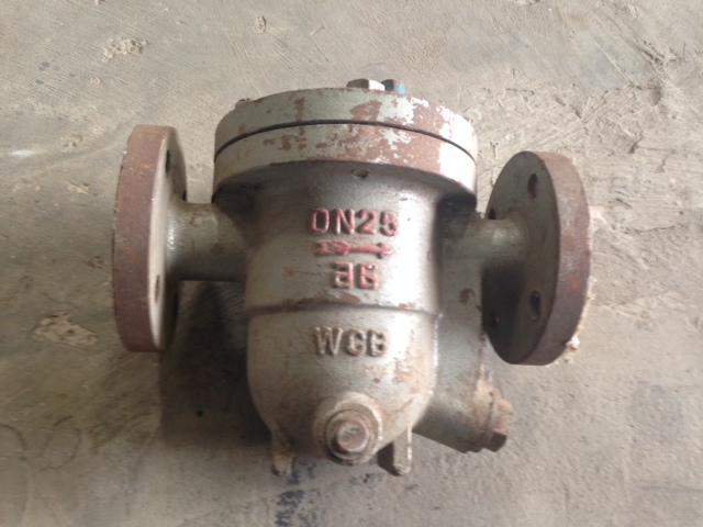 Van cóc ngưng